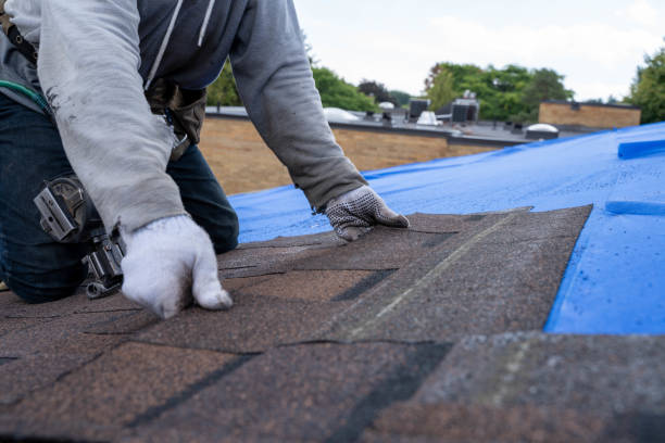 Best Storm Damage Roof Repair  in Farmer City, IL